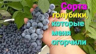 ТРЕБОВАТЕЛЬНЫЕ, капризные, переодичные сорта голубики.