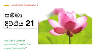 යෝනිසෝ මනසිකාරය 7 - Samma Ditthi 21