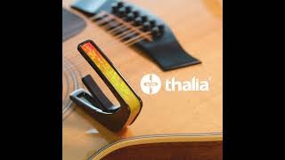 Thalia Capos : Sunrise Shell