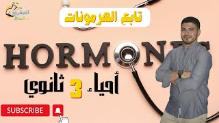 تابع الهرمونات  ( المناسل )