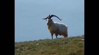 Walking from Conwy to Llandudno via Great Orme