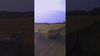 Efficient Corn Silage Harvesting 🌽 with John Deere Chopper