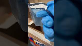 Using Laundry 🧺 Powder to Freshen 🆙 the Toliet Water #housekeeping