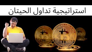 استراتيجية تداول الحيتان سكالبنج و سوينغ خطيييرة