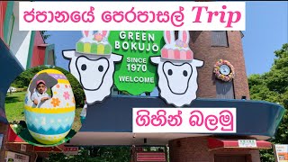 ජපානයේ පෙරපාසල් Trip 保育園のTrip