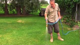 Watering tips for your lawn / Lawns tips & watering  - Cobbitty Turf