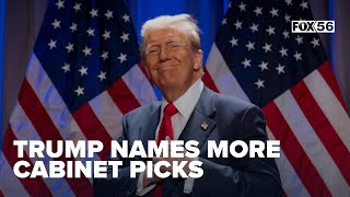 Trump names more cabinet picks