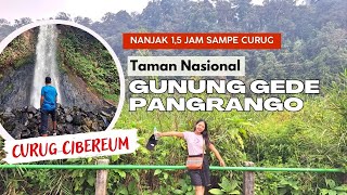 Nanjak 1,5 jam ke Curug Cibereum Gunung Gede Pangrango #gunungpangrango #curug #bogor