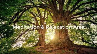 Deep Sleep Music, Insomnia, Sleep Meditation, Calm Music, Sleep Therapy, Study, Relax, Sleeping ★5