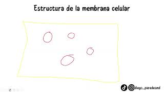 CÉLULA Y SUS FUNCIONES CURSO DE BASES DE LA FISIOLOGÍA PT. 1