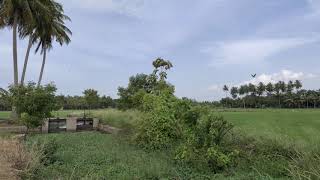 sorga poomi thanjavur beautyful natural place