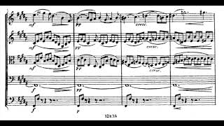 Antonín Dvořák - Nocturne in B Major Op.40 (with score)