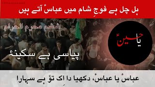 Hal Chal Hai Fouj (Tahir Abbas) | Abbas Ya Abbas (a.s) & Saqi'lab Tashnagan (Anjuman Mohammadia)