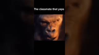 Bruh for real #funny #shortsfeeds #shorts #monkey #fypシ゚viral #fyp #foryourpage