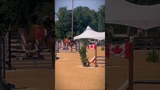 The overjump #horseshow #horseriding #horsejumping #fyp #viralvideo