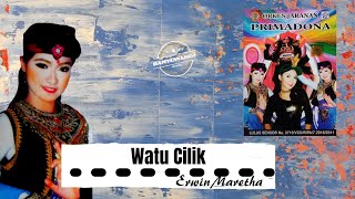 Erwin Maretha - Watu Cilik // OFFICIAL MUSIC VIDEO