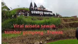 Viral wisata sawah sumber Gempong di Trawas Mojokerto Jawa Timur