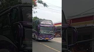 Klakson Telolet Basuri Ala Bus Ratu Maher//SJM Trans