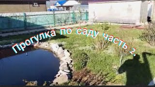 Прогулка по саду часть 2.