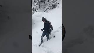 Snow Fall In Sudhan Gali Bagh Kashmir #snow #shorts #ytshorts #murree