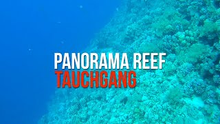 Panorama Reef Tauchgang 2014