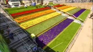 King's Cross in Bloom ITV London Evening News