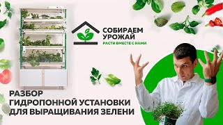 Обзор возможностей гидропонной установки Конструктор с комплектом наборов ВСЁ ВКЛЮЧЕНО.