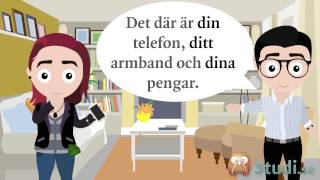 Possessiva pronomen, del 1 (Svenska) - Studi.se