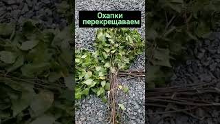 Как я вяжу банные веники