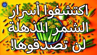 اكتشفوا فوائد الشمر المذهلة في الطب النبوي والبديل : لدعم الجسم والشعر بأسلوب طبيعي وصحي لكل بيت!