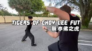 Tigers of Choy Lee Fut - Straight Sword - 劍