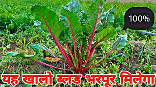 शरीर में तेज़ी से खून बढ़ाने का धरेलू उपाय || Blood Kaise Badhaye || Beet