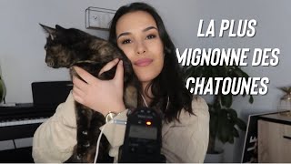 ASMR : ORLY EST DE RETOUR (ronronnement chat) - REPOST-