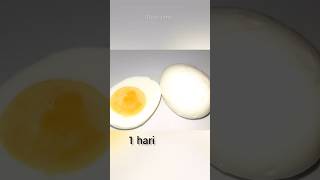 telur ayam rebus #timelapse #telur #telurayam #telorayam