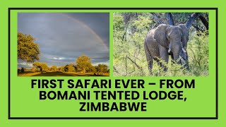 Grown-up Safari Adventure: First Day at Bomani Tented Lodge in Hwange National Park, Zimbabwe