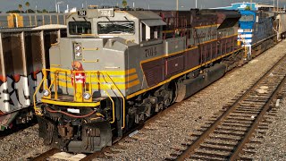 Very special duo CP 7014 & CEFX 1043 on B631 + Csx 1973 Chessie in Plant City