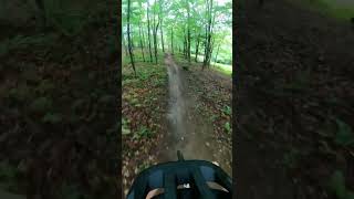 Riding Some Fast Single Track #bike #mtb