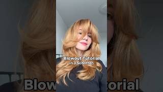 Direkt speichern und nachmachen❗️☺️ #blowout #haartutorial #haare #shorts #haarpflegetipps #bürste