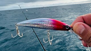 Buena pesca en MAR ABIERTO || pesca con MINNOW || Mazatlan Sinaloa!!