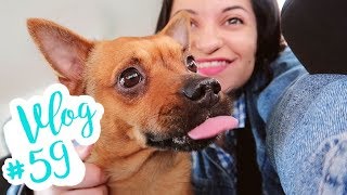 ХАОТИЧЕН ВЕЛИКДЕН С КУЧЕ НА ПЪТ | VLOG #59