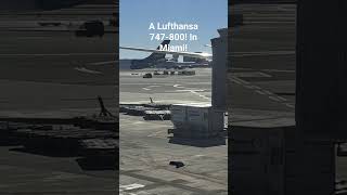 This is a Lufthansa 747-800 find!!!