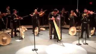 UT Pan American's Mariachi Aztlan: El Alegre