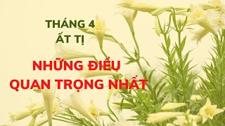 Vận Hạn Tốt Xấu Các Tuổi Trong Tháng 4 AL ( Ất Tị) -  Năm Nhâm Dần 2022