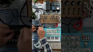 Moog DFAM & Microbrute SE Brute Analog Jam & Roland j6