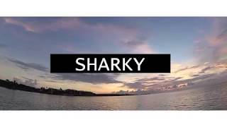 Sharky - Project CA (official video)