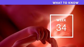 34 Weeks Pregnant | What To Know