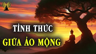 Đời Là Bể Khổ Trầm Luân - Sống Tỉnh Thức Giữa Chập Trùng Ảo Mộng.