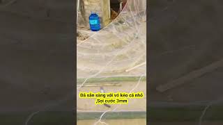 Sẵn sàng với Vó kéo cá nhỏ, vó cá Lòng Tong 6x6m, mắt 3mm, chất lượng, fishing net #shorts