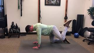 Hip CARs or Controlled Articular Rotations