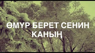 Өмүр берет Сен‍ин каның - Кыргыз Данктоо Ыры